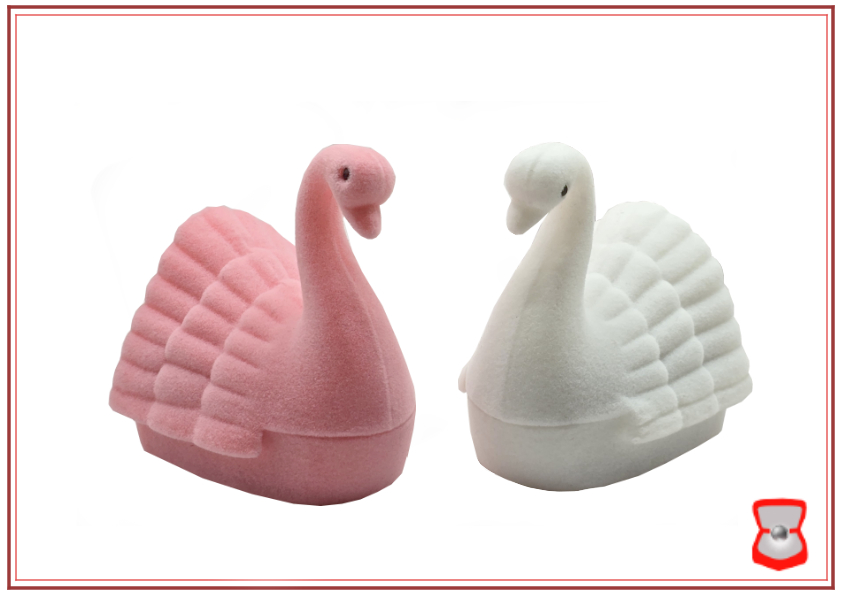 Cisne