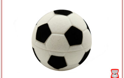 Pelota